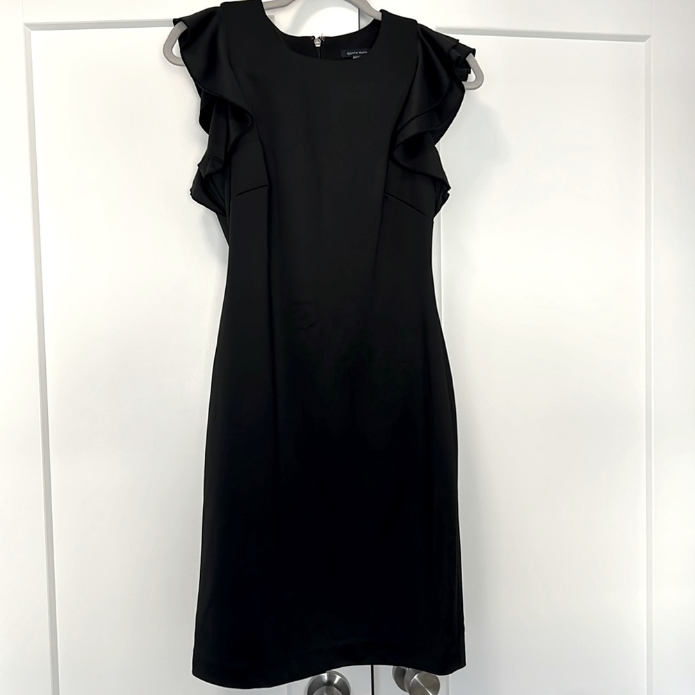 Ruffle Sleeve Party Dress
